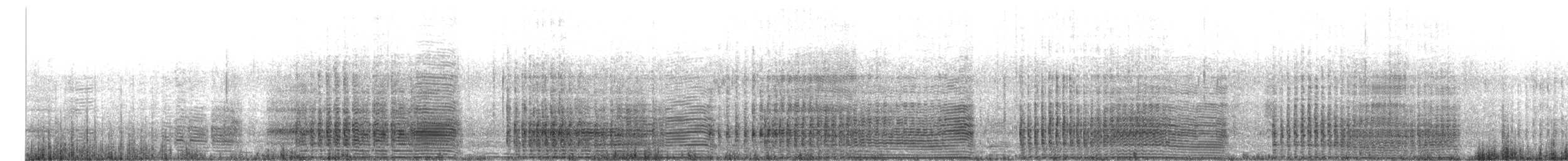 Pingüino de Schlegel - ML647094612