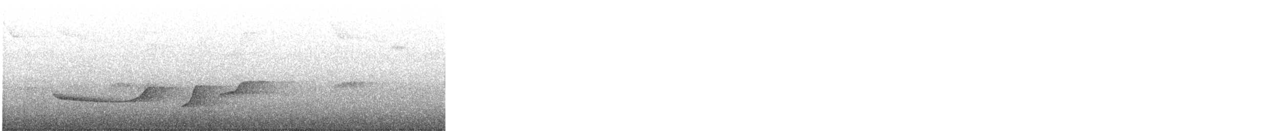 Llorón Picofino - ML647094977