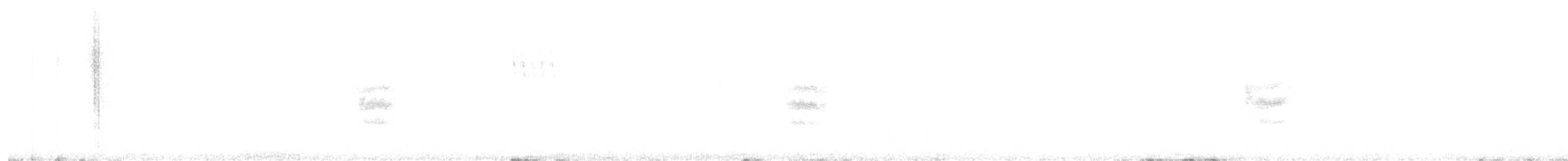 Toquí Moteado - ML647095049