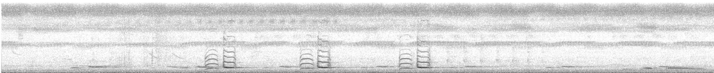 Lineated Barbet - ML647095409