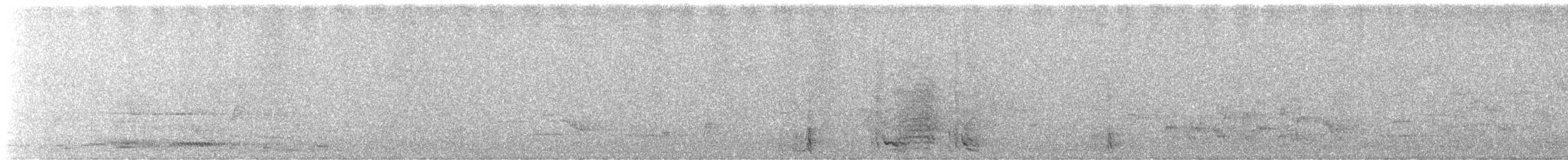 Yellow-tailed Black-Cockatoo - ML647096464