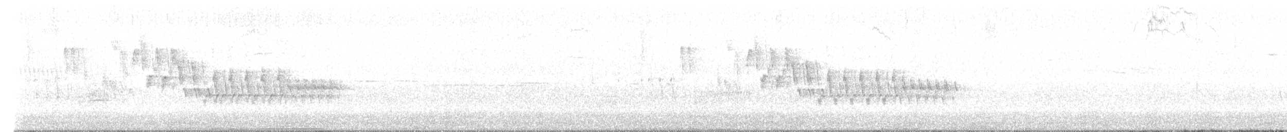 Chochín Criollo Norteño - ML647096758