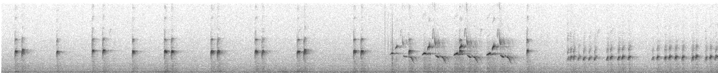 Carolina Wren - ML647096934