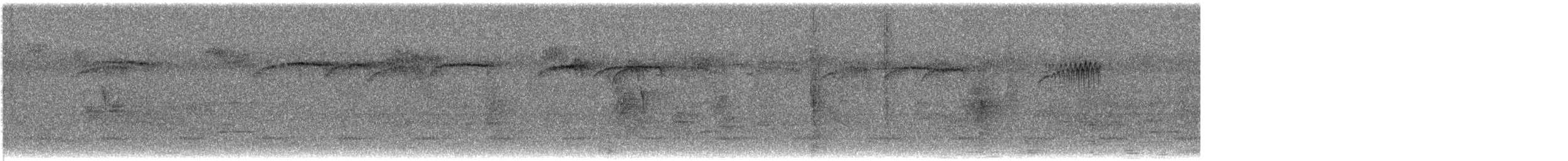 ヒメレンジャク - ML647096942