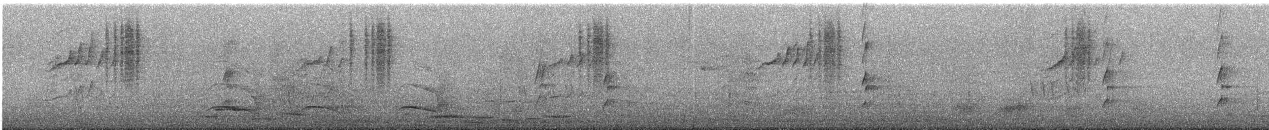 Yellow-tailed Black-Cockatoo - ML647097364