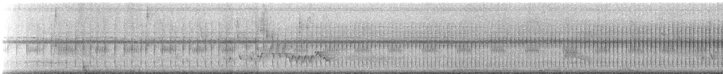 Olivaceous Woodcreeper - ML647097578