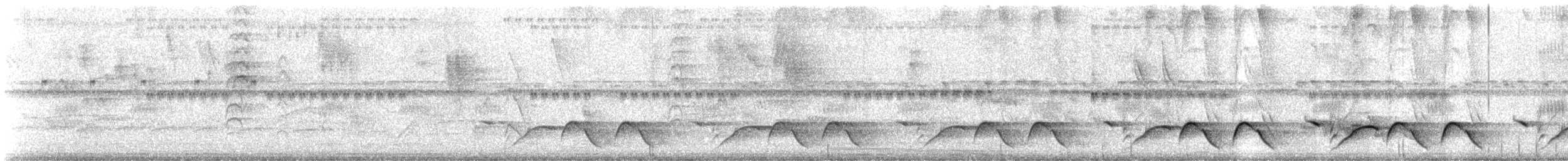 skjeggsmett - ML647097636