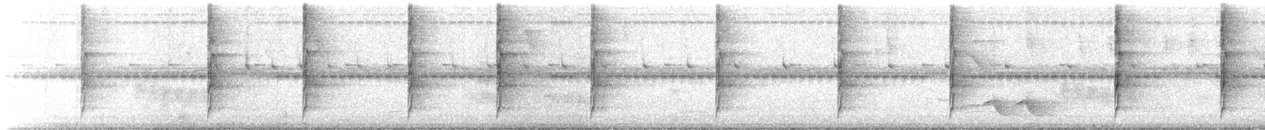 stripetyrann - ML647097669