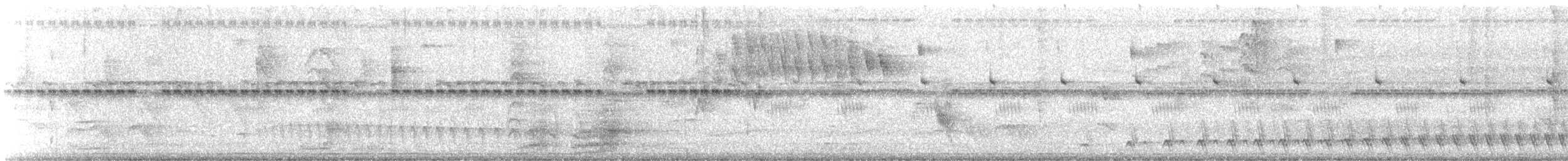 oransjevingeamazon - ML647097696