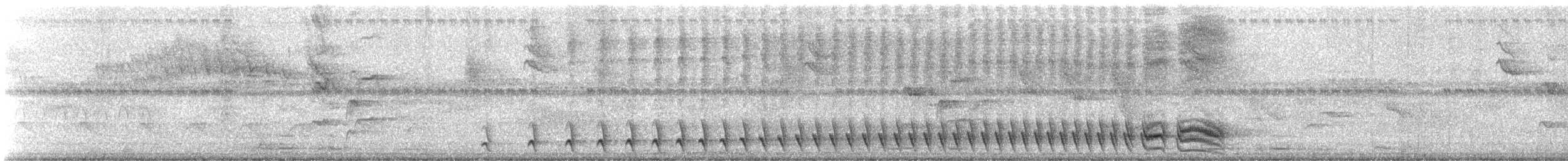 hvitbrystmaurvarsler - ML647097702