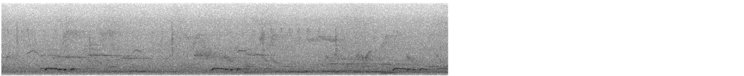 sebradue - ML647097867