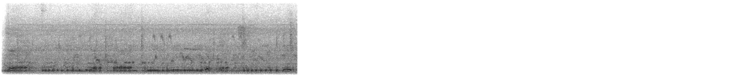 hvitbrystrikse - ML647097877