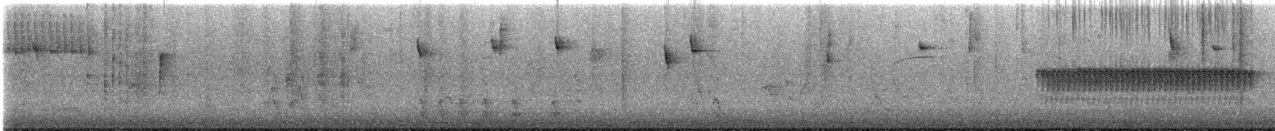 vinterjunko (hyemalis/carolinensis) - ML647097948