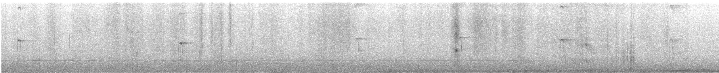 hårspett (villosus gr.) - ML647098102