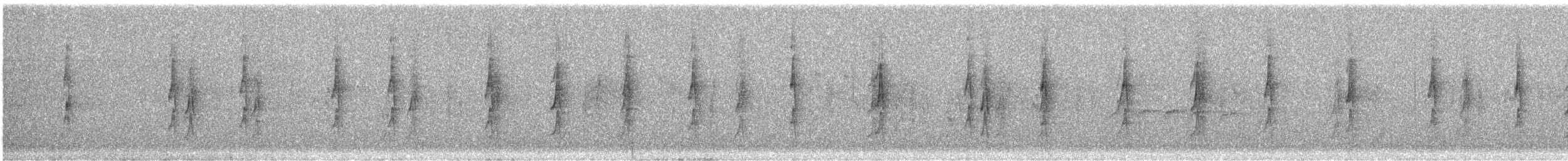 Necklaced Spinetail - ML647100810