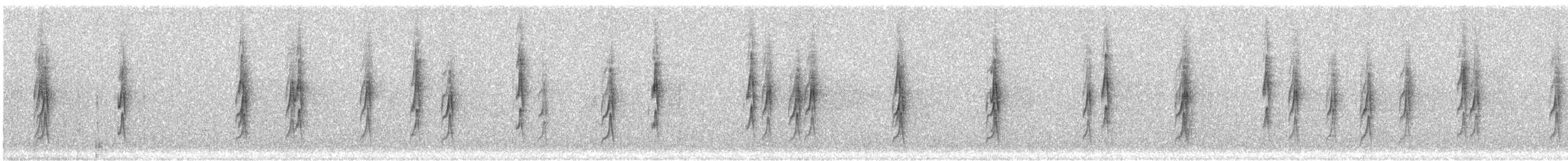 Pijuí Collarejo - ML647100813