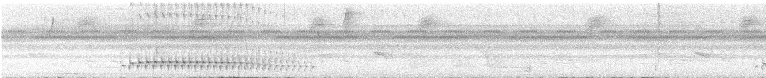 Dusky Antbird - ML647101123