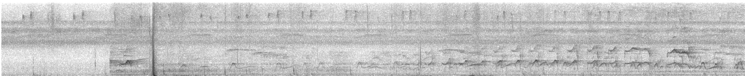 Spotted Puffbird - ML647101168