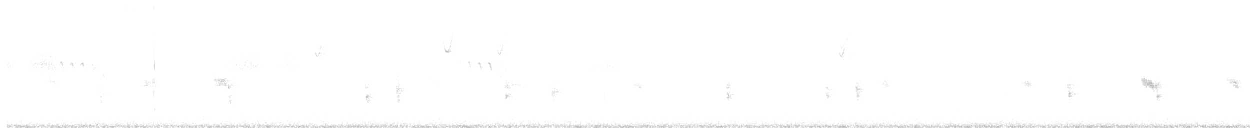 Canyon Wren - ML647102802