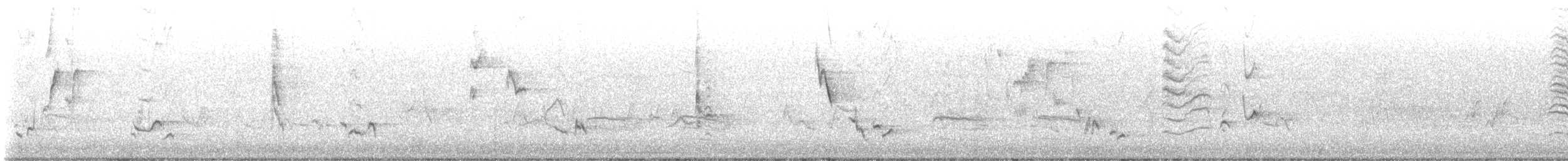 Miaulari grisa - ML647102899