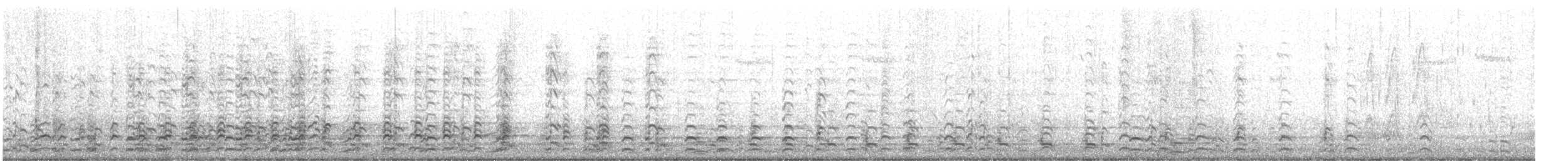 小加拿大雁 - ML647103221