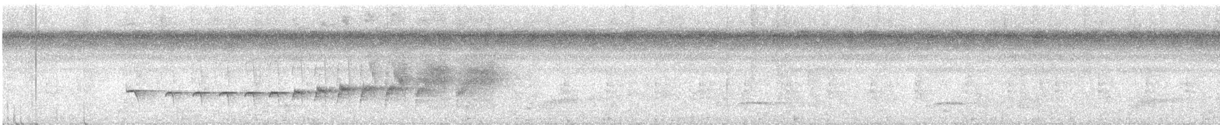 Guianan Warbling-Antbird - ML647103317