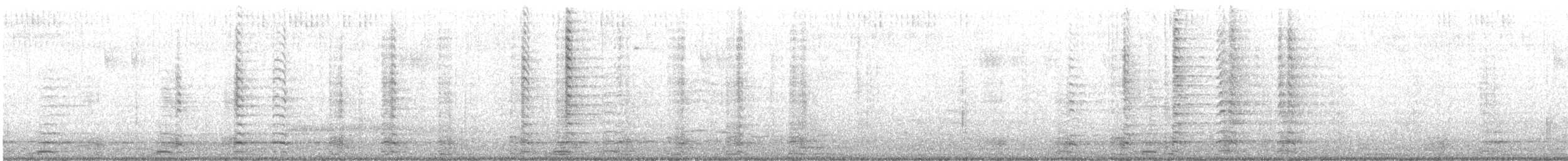 ברנטה קנדית - ML647103436