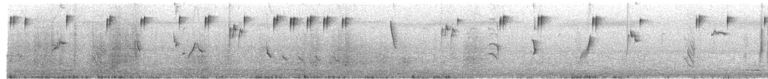 Mistletoebird - ML647103544