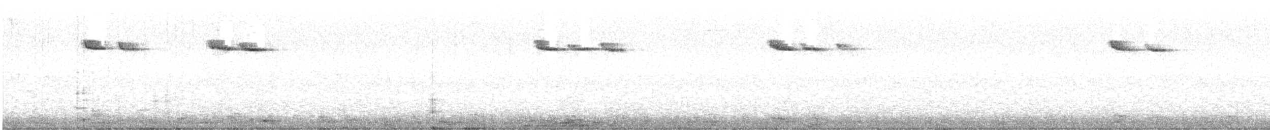 Підкоришник американський - ML647103898