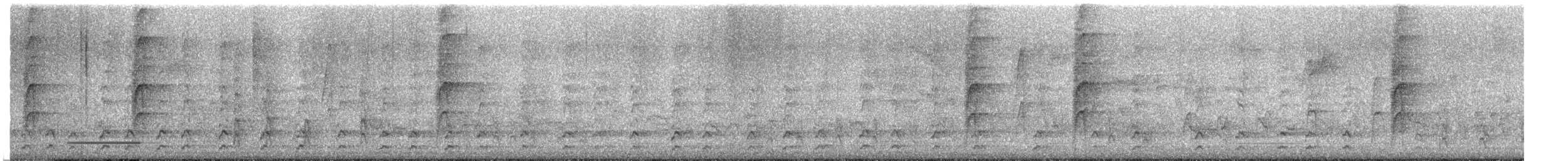 hvitbrynsvartspett - ML647104175