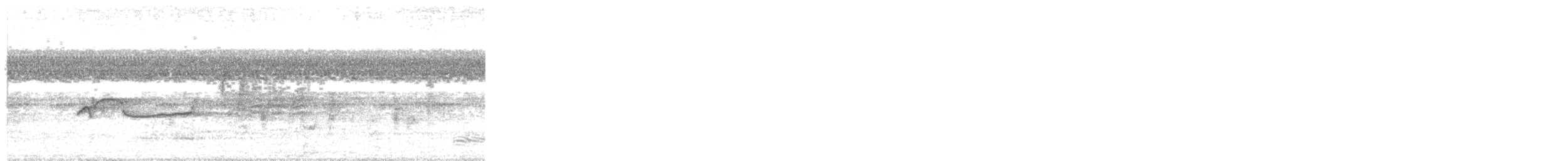 Eastern Wood-Pewee - ML647104891