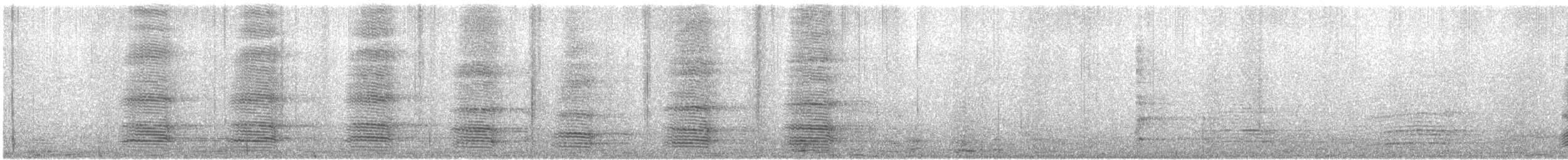 Australian Raven - ML647105396