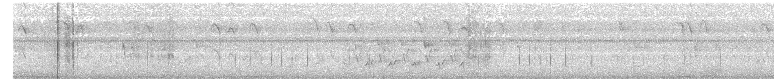 Cucarachero de Carolina - ML647105842