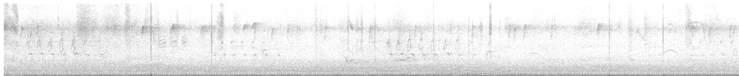 Merle d'Amérique - ML647106299