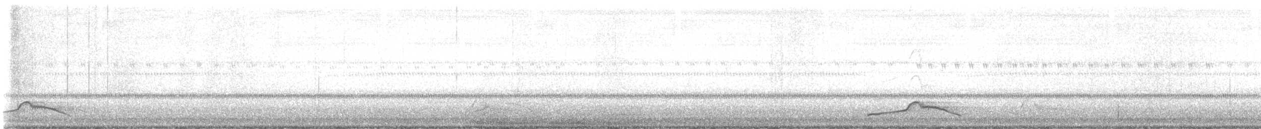 Common Pauraque - ML647106550