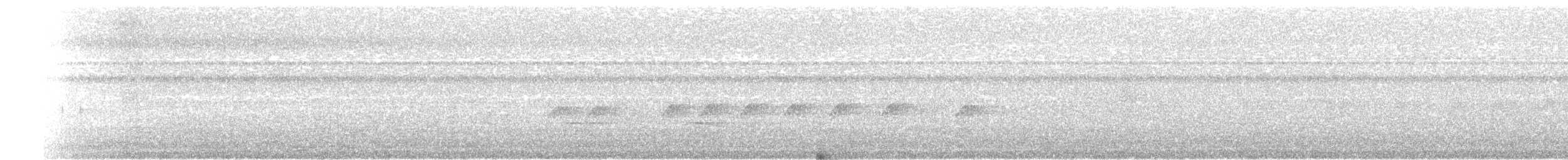 Chestnut-backed Antbird - ML647106554