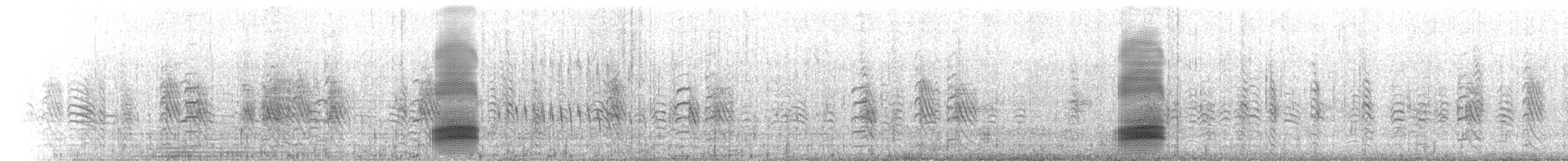 Австралийская ворона - ML647107268