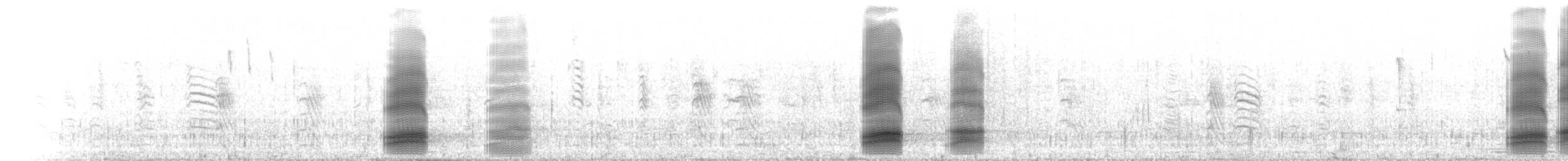 Австралийская ворона - ML647107270