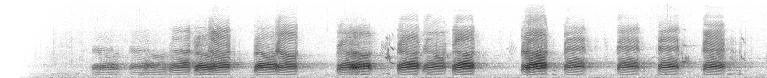 Австралийская ворона - ML647107799