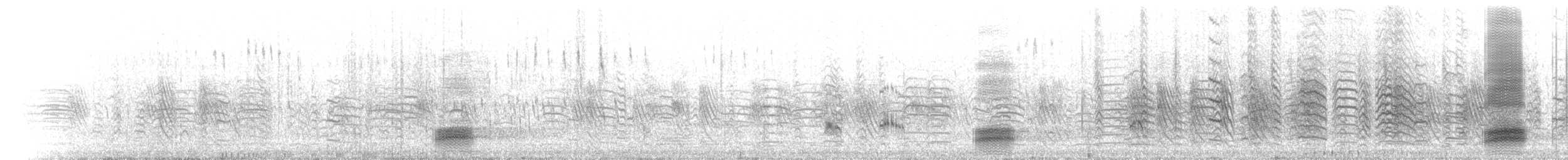 Австралийская ворона - ML647107816