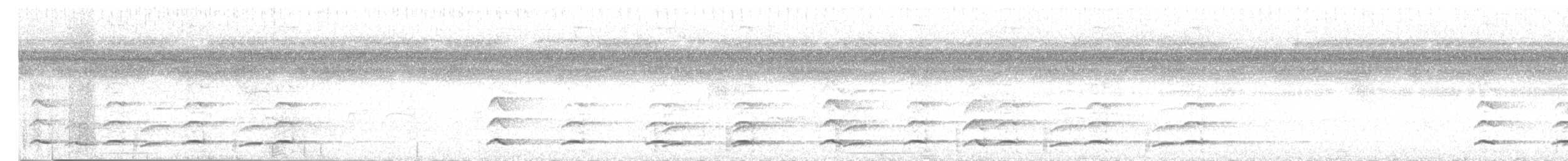 Tucán Pechiblanco - ML647109164