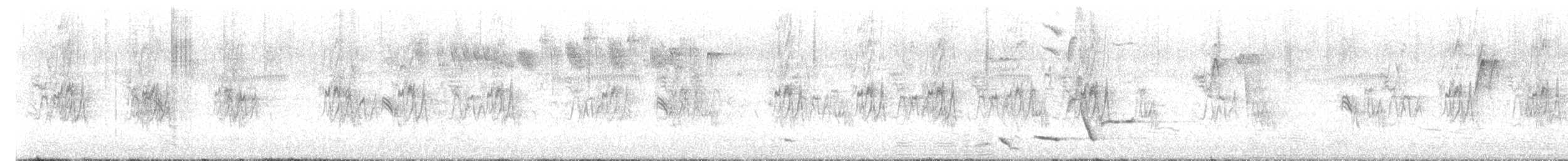 Gray Shrikethrush - ML647110385