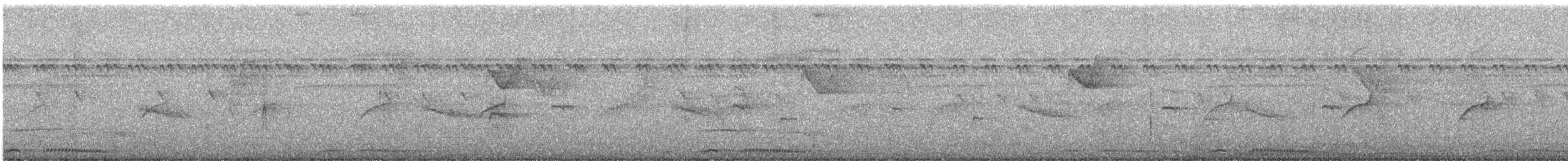 kruhoočko indomalajské - ML647111065