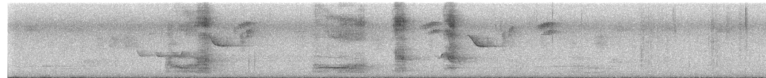 kakadu přílbový - ML647111071