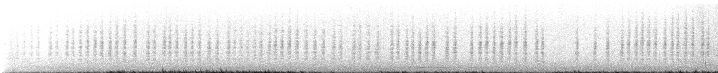 Chochín Criollo Norteño - ML647111144