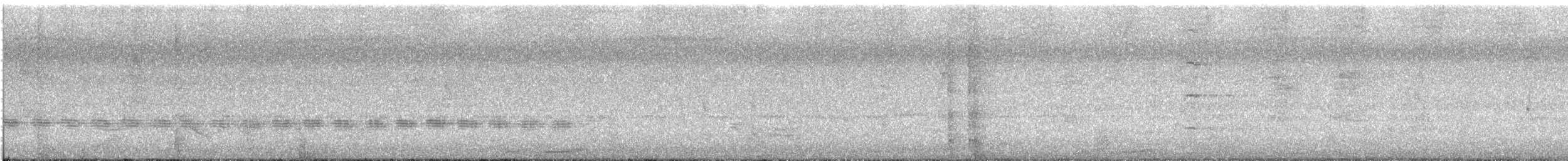 Sahul Cicadabird - ML647111161