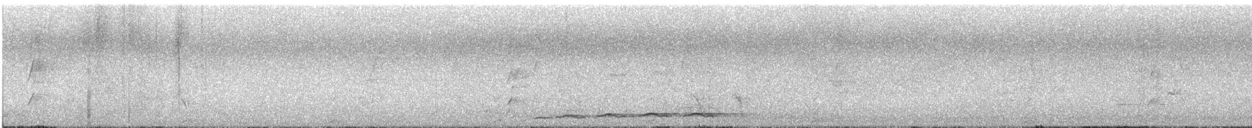 kukačka pacifická - ML647111238