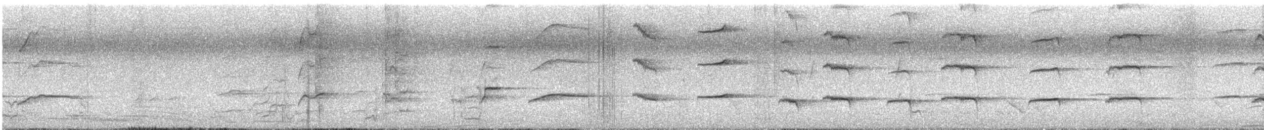 papouškovec královský - ML647111273