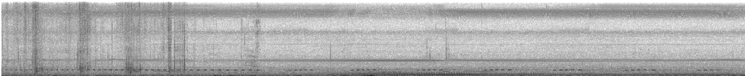 kukačka orientální - ML647111335