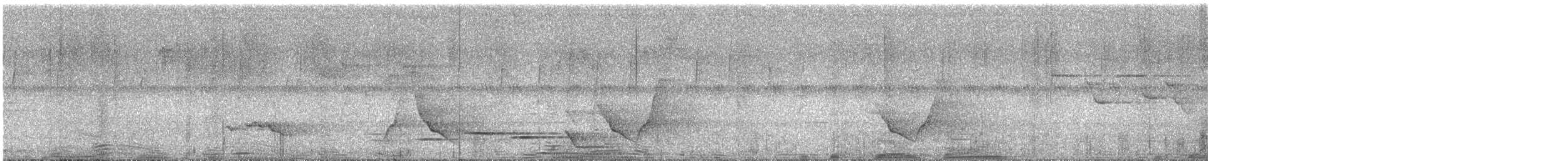 Black-faced Monarch - ML647111363